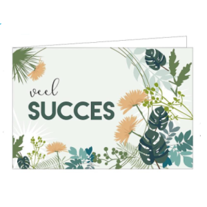 Kaarten | Veel succes